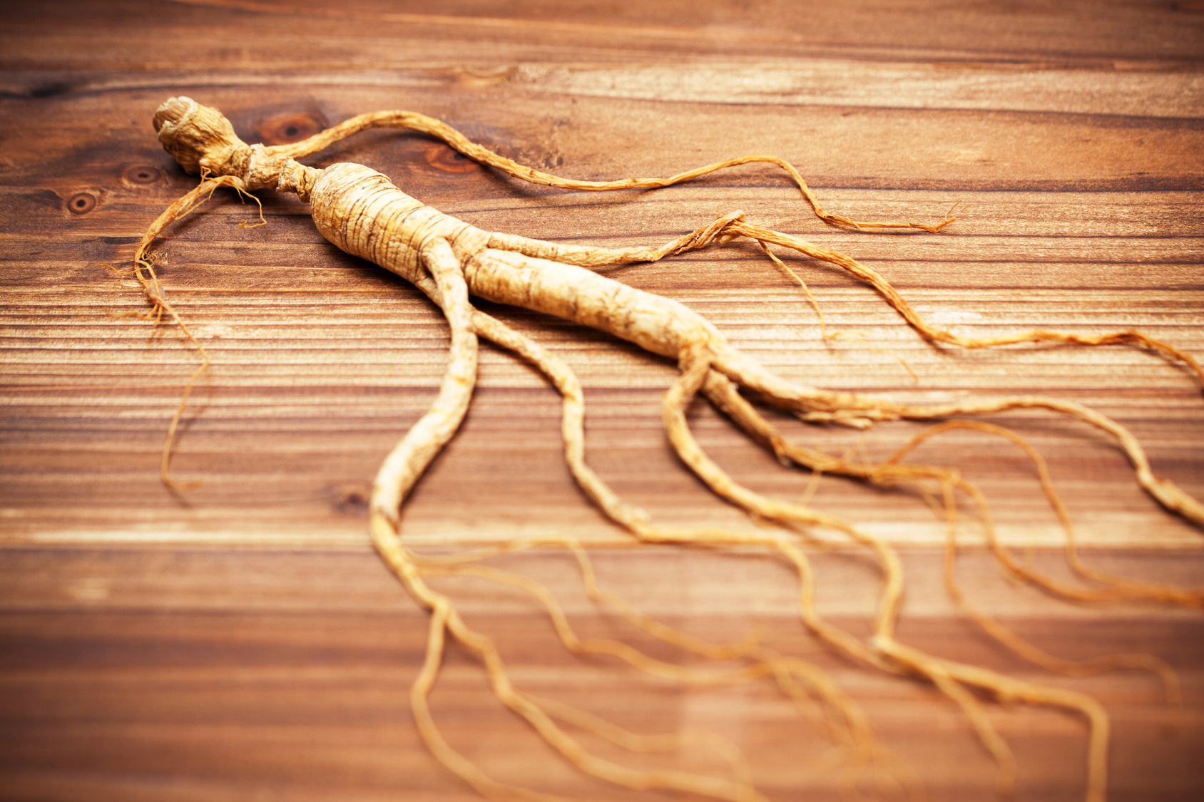 Image result for Ginseng Adaptogen