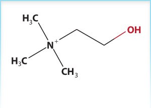 choline