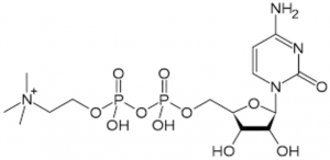 choline-source-best-cdpcholine