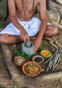 Mortar-and-pestle preparation of Ayurvedic herbs in combination.