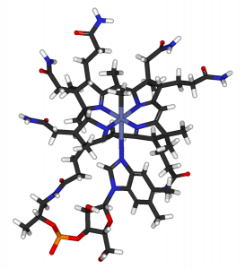 Methylcobalamin. By Fvasconcellos 18:40, 30 April 2007 (UTC) (Own work, from ChEBI 28115.) [Public domain], via Wikimedia Commons