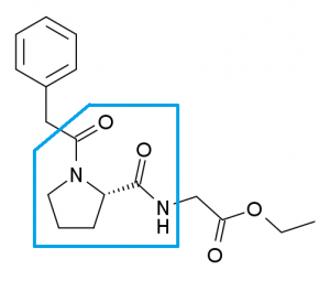 Noopept molecule (piracetam within blue box)