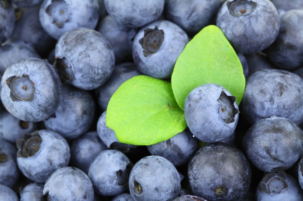 blueberries