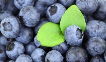 blueberries