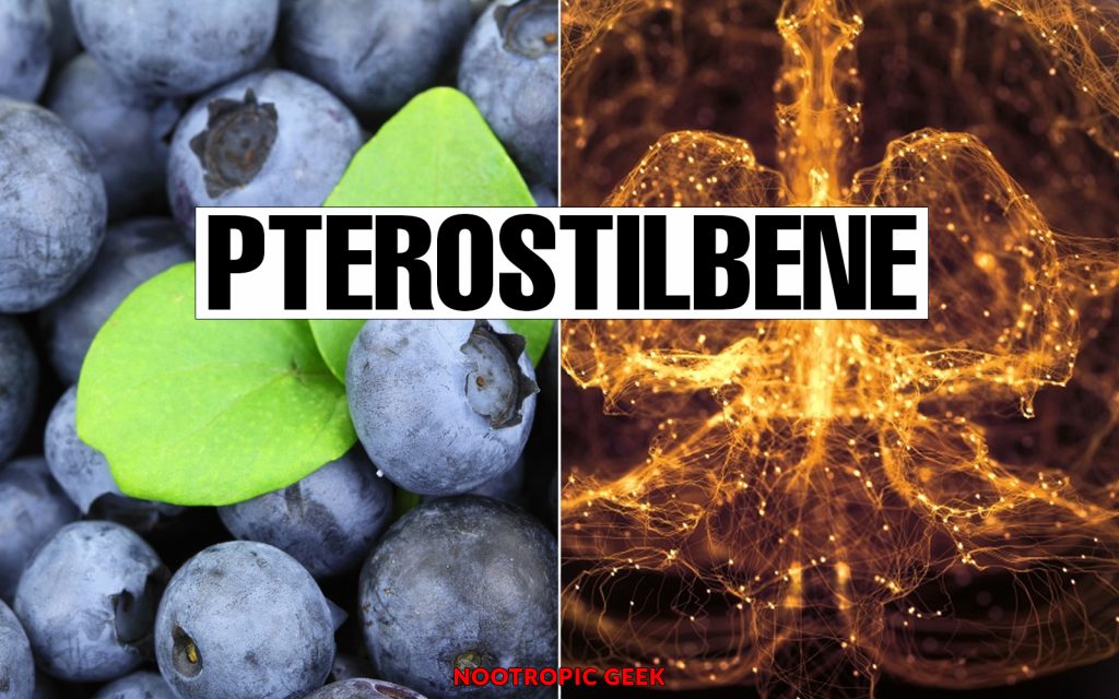 pterostilbene review nootropic geek