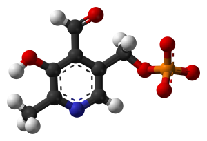 P-5-P is the better, active form of B6. By Jynto and Ben Mills [Public domain], via Wikimedia Commons