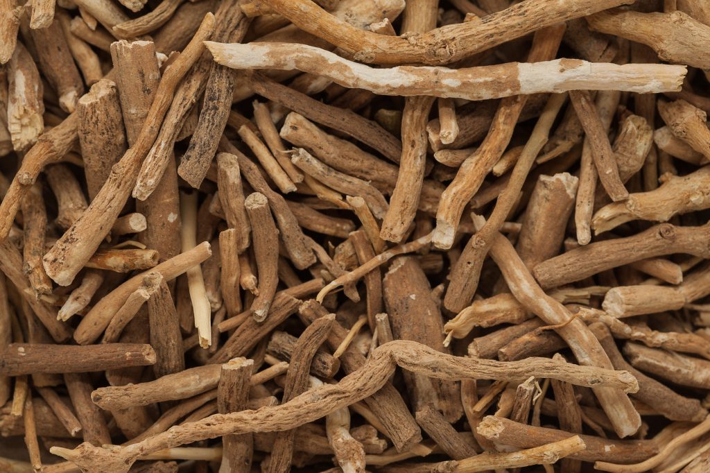 Organic Ashwagandha (Withania somnifera) roots