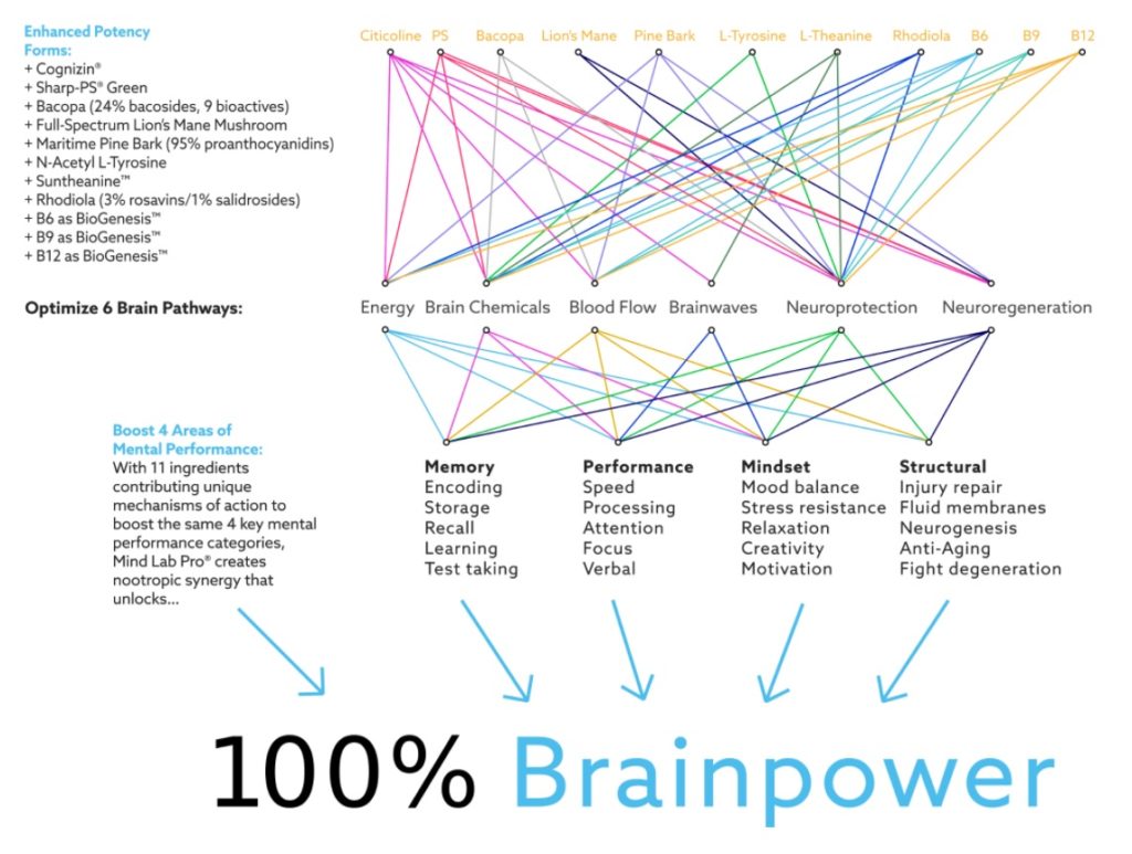 Mind Lab Pro 100% Brainpower Graph