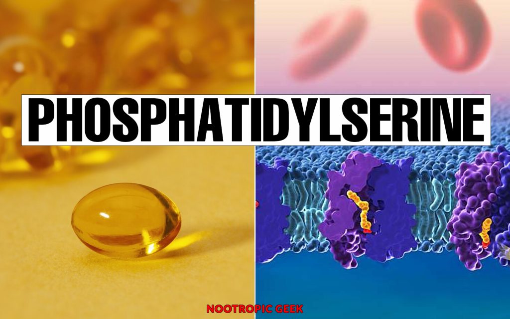 phosphatidylserine review by nootropic geek