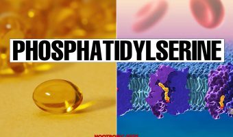 phosphatidylserine review by nootropic geek