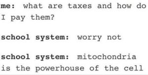 mitochondria powerhouse cell