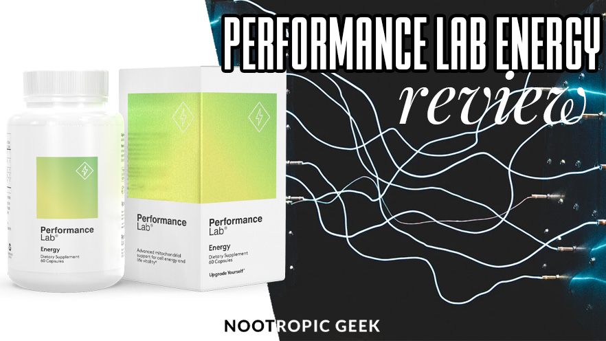 performance lab energy review