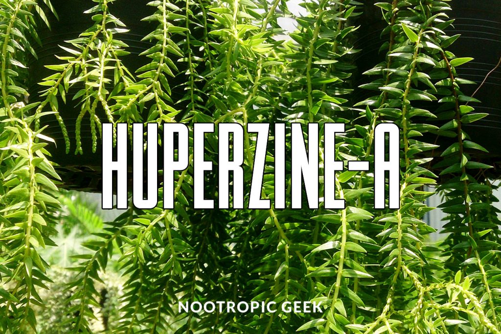 huperzine-a review nootropic geek