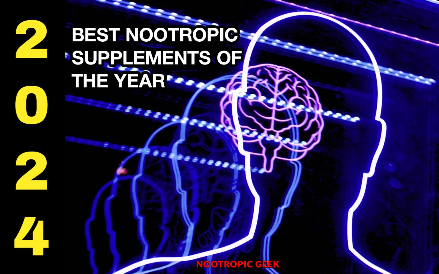 Best Nootropic Supplements to Buy in 2024 Nootropic Geek