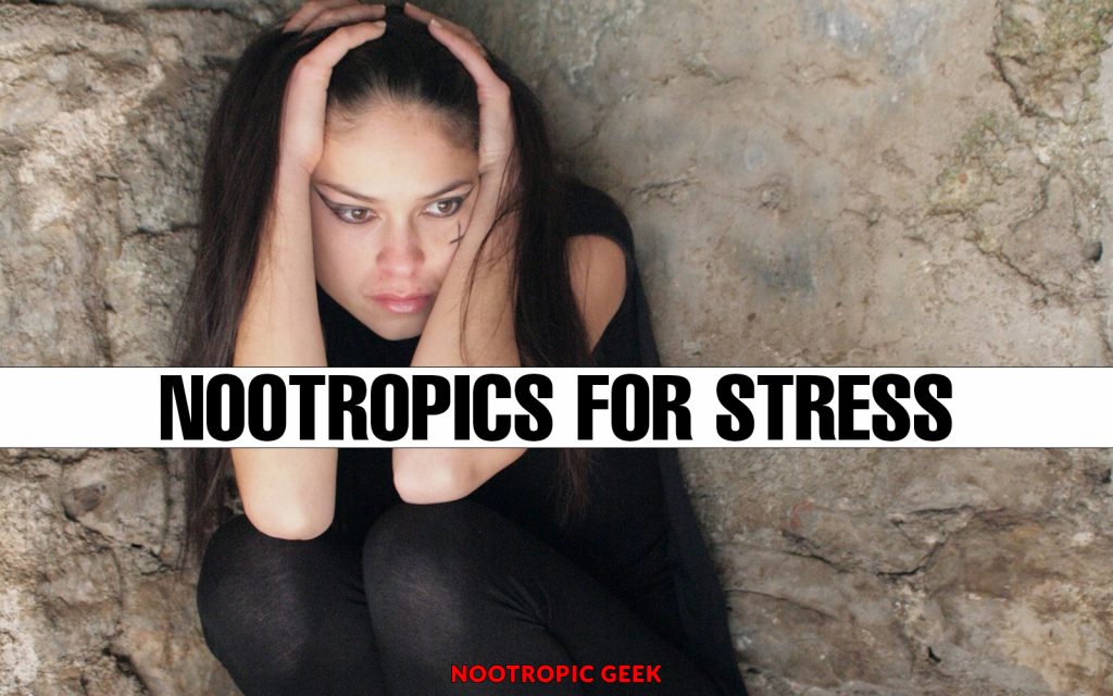 best nootropic supplements stress geek