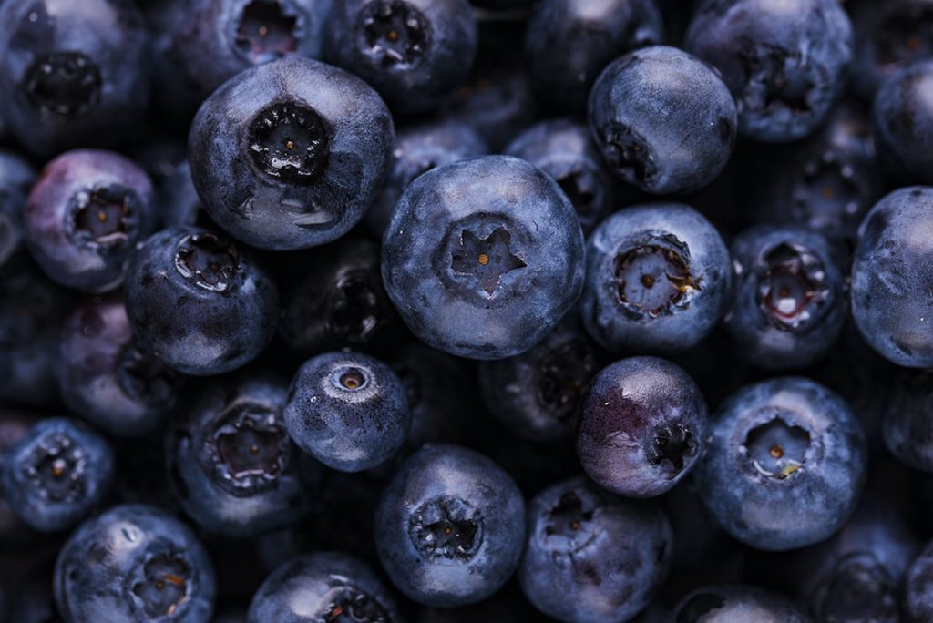 blueberries brain health