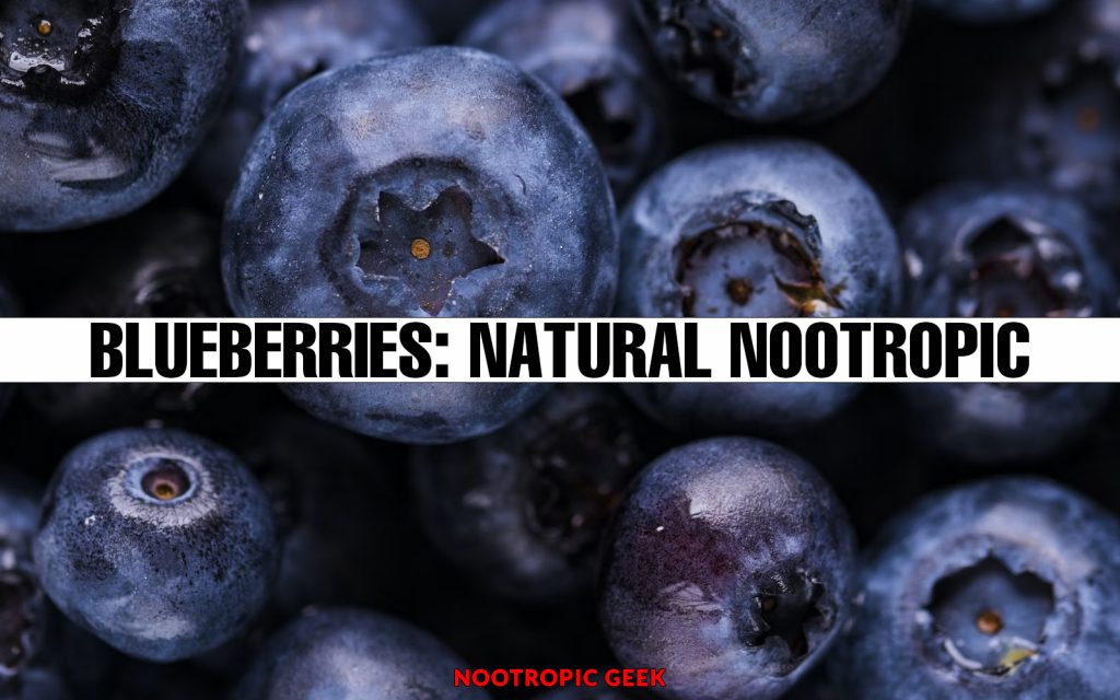 blueberry natural nootropic