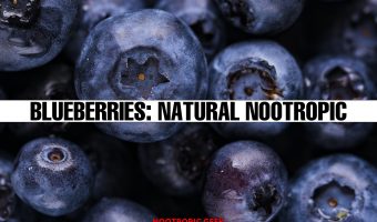 blueberries natural nootropic