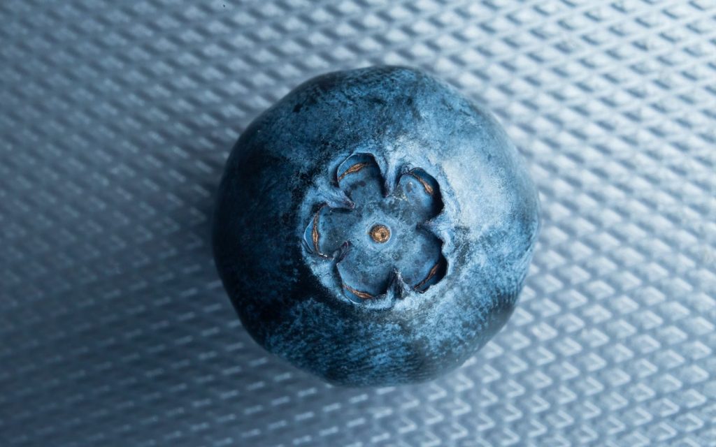 blueberry superfood cognitive performance