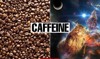 caffeine review good nootropic geek