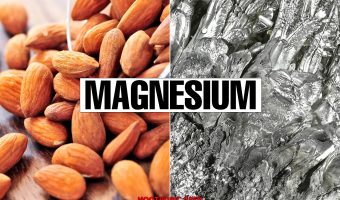 magnesium review nootropic geek